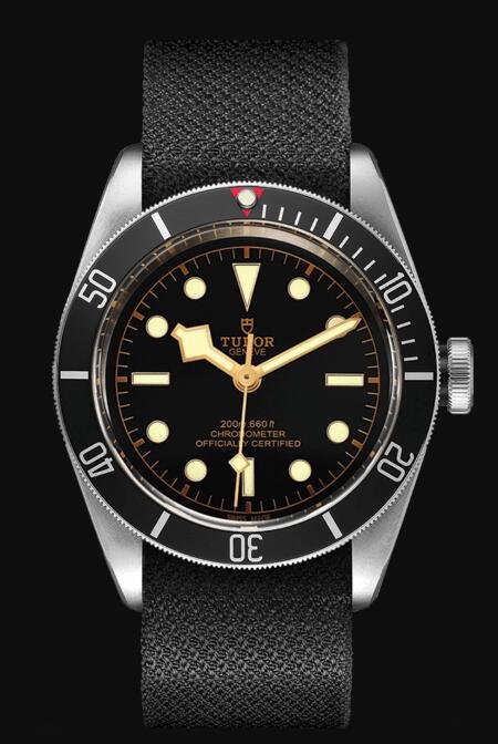 Tudor BLACK BAY M79230N-0005 Replica Watch